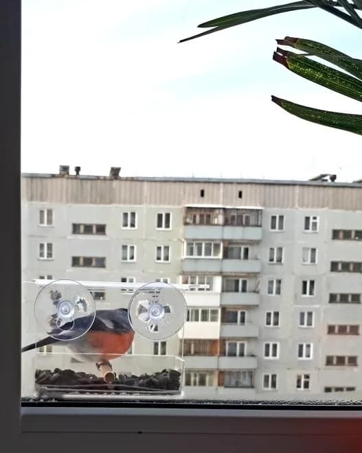 Изображение товара 2