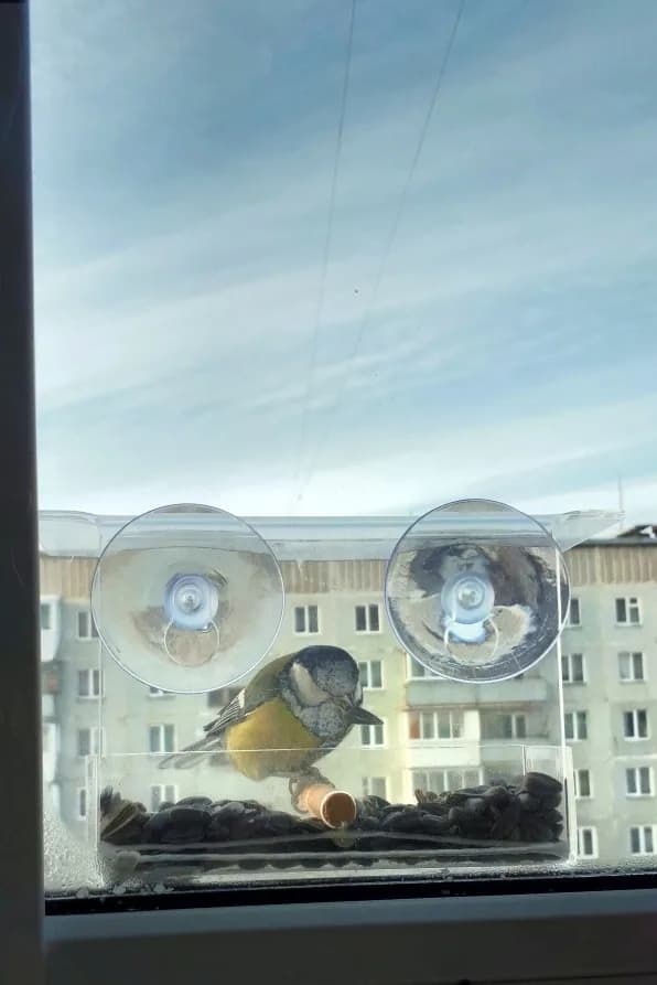 Изображение товара 3