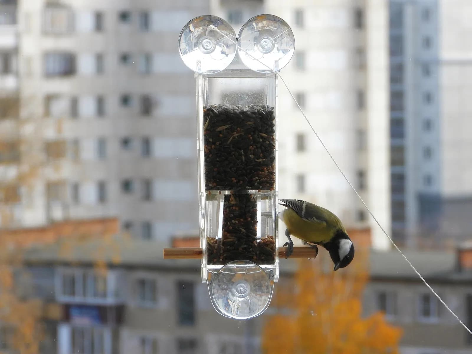 Кормушка на окно "Птаха" — фото 3