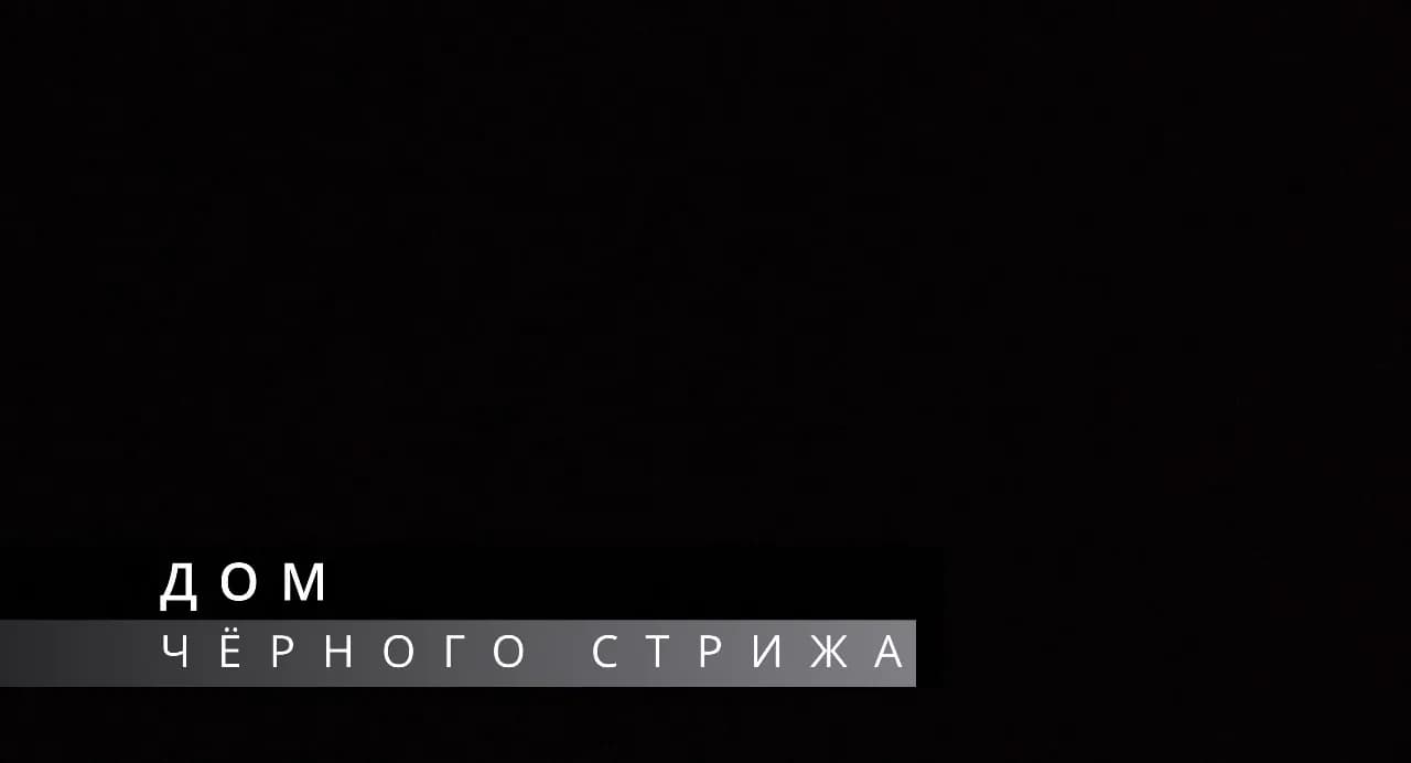 Кадр из видео: Специализированные скворечники для птиц дуплогнёздников на примере стрижатника. Дом чёрного стрижа!