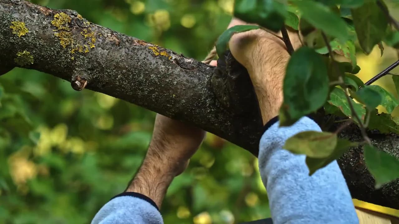 Кадр из видео: Человек с кормушкой! Почему мы кормим птиц и кому этого делать не надо. Кормушка Комфорт и Бинокль.