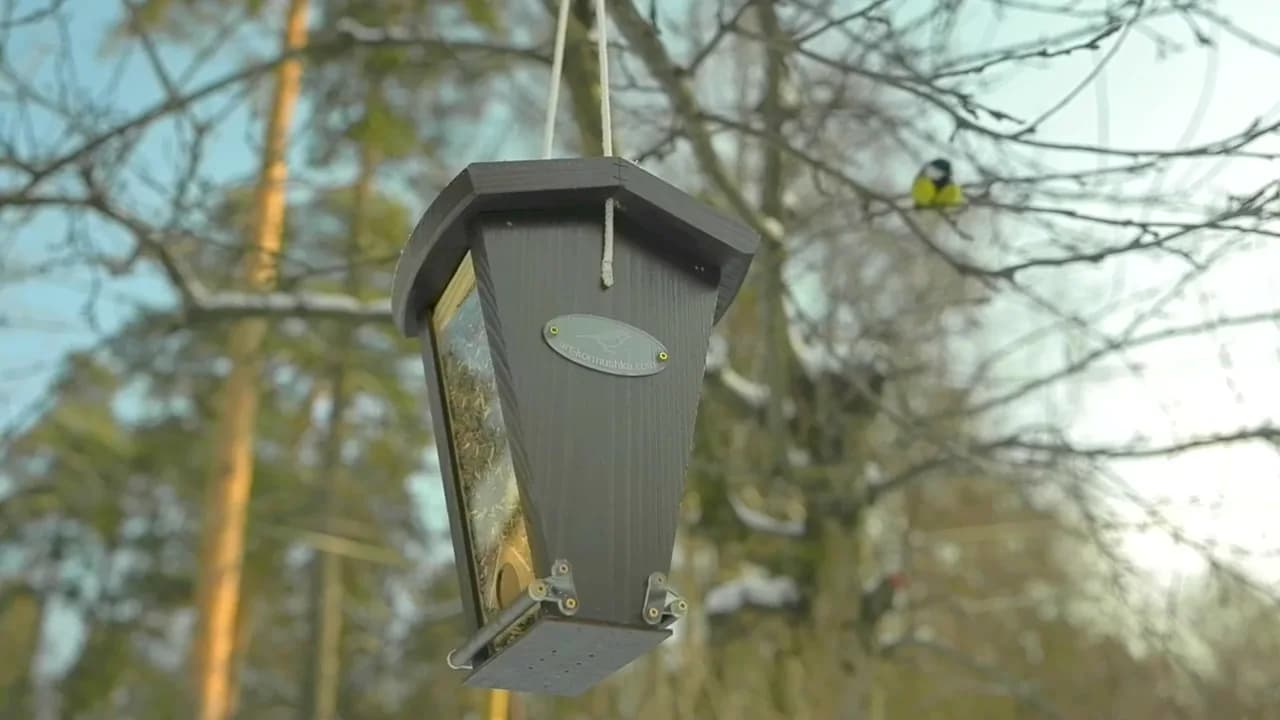 Кадр из видео: ДОЗАТОРНО СЕТЧАТЫЕ КОРМУШКИ ДЛЯ ПТИЦ. Кормление и поведение птиц на кормушке. Большой ресурс!