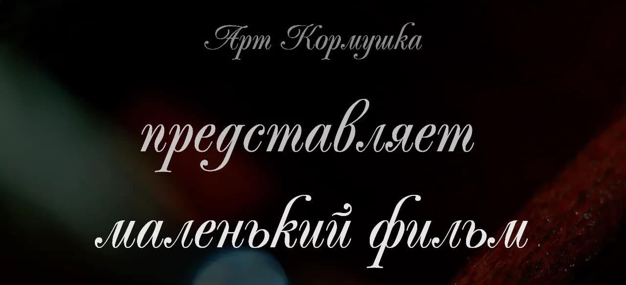 Кадр из видео: Зачем птицам красивые кормушки и как их делают? Отличные, долговечные и удобные для дачи и парка!