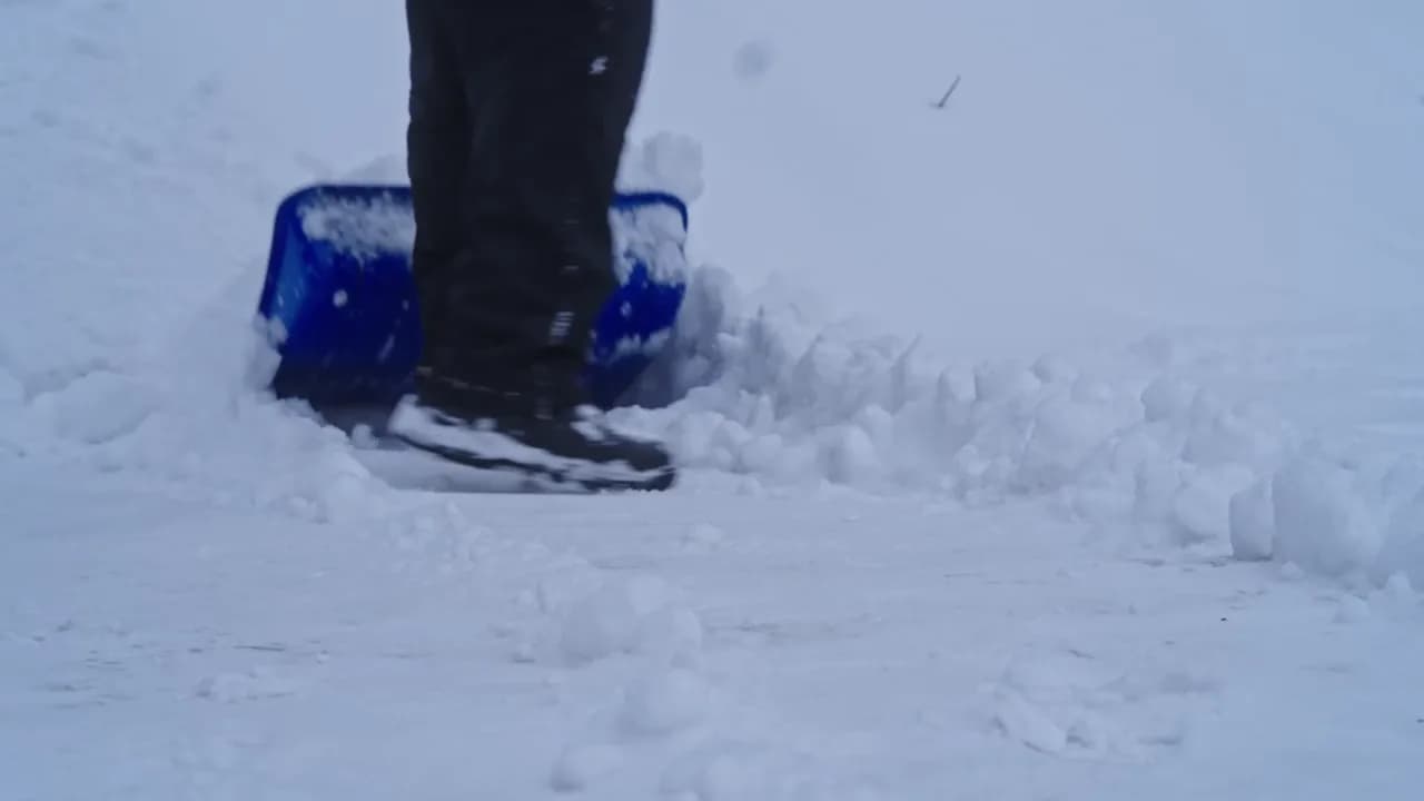 Кадр из видео: Скворечник может быть любой! Конструкции искусственных гнездовий, защита, чистка, ассортимент.