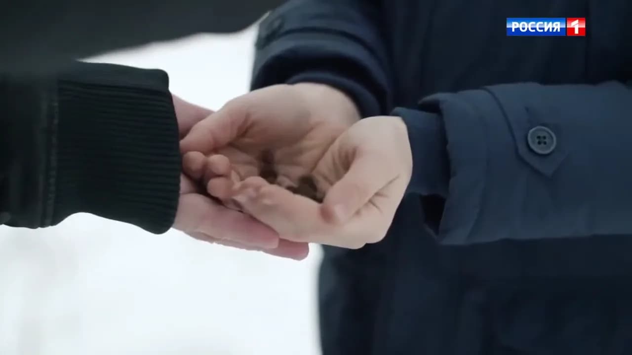 Кадр из видео: Фрагмент из фильма: Забывая обо всем. Арт Кормушка для белок.